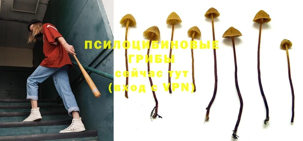 винт Пестово