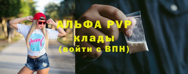 винт Пересвет