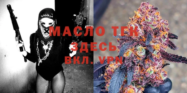 винт Пересвет