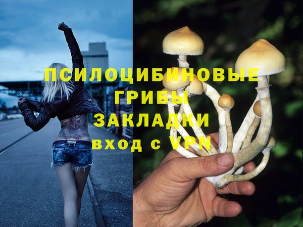 apvp Переславль-Залесский